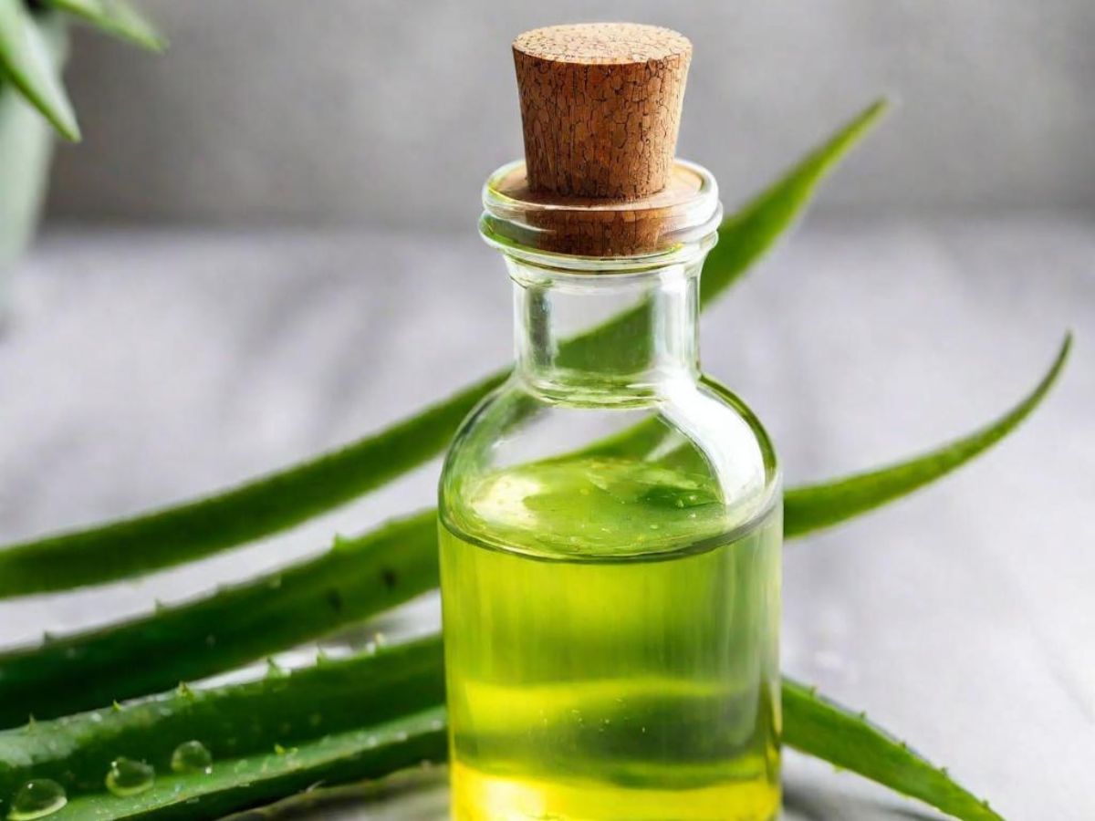 How to Make Aloe Vera Hair Oil for Hair Growth: The Ultimate Guide