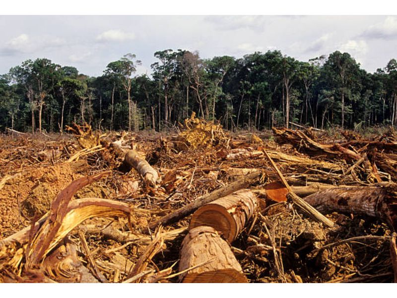 Causes of Climate Change in India