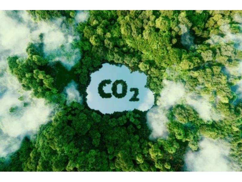 Which Gases Are Responsible for Greenhouse Effect