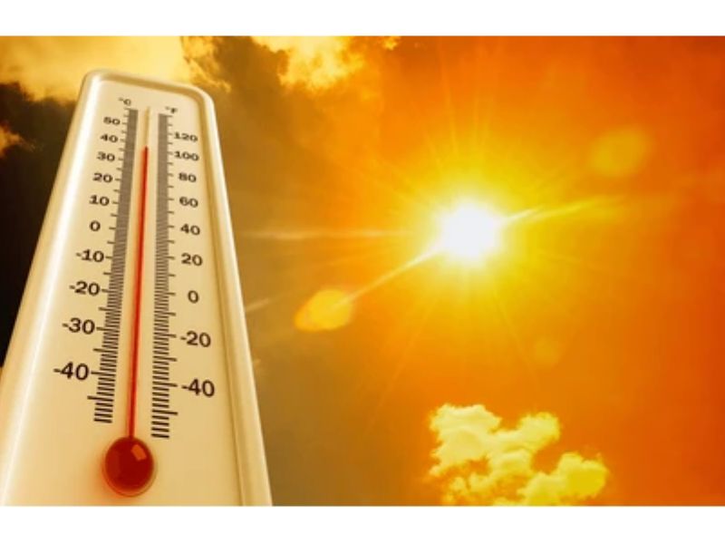 Which Gases Are Responsible for Greenhouse Effect